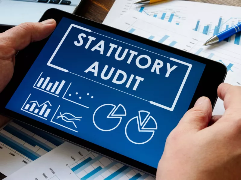statutory audit